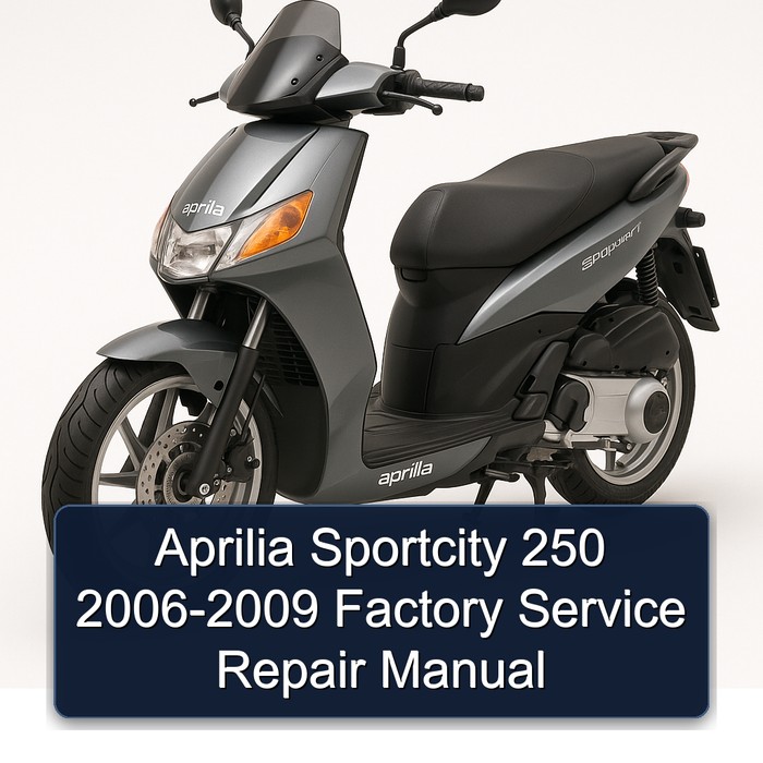 Aprilia Sportcity 250 2006-2009 Factory Service Repair Manual