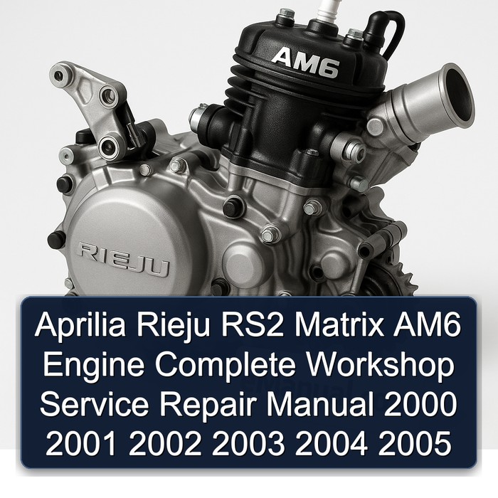 Aprilia Rieju RS2 Matrix AM6 Engine Complete Workshop Service Repair Manual 2000 2001 2002 2003 2004 2005